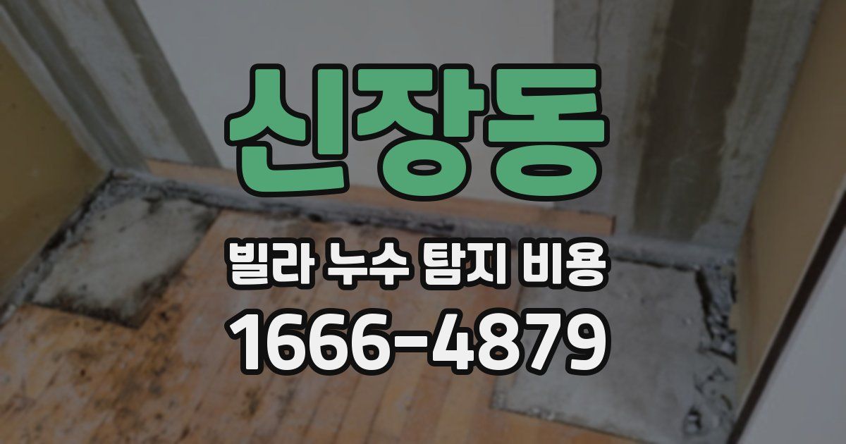 신장동 빌라 누수 탐지 비용