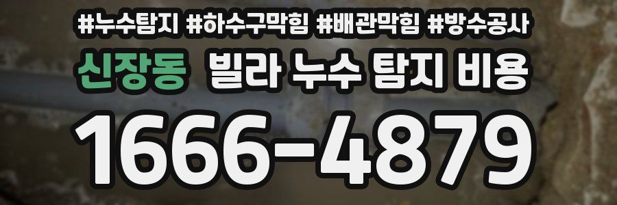 신장동 빌라 누수 탐지 비용