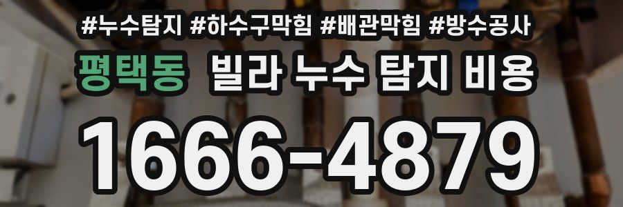 평택동 빌라 누수 탐지 비용