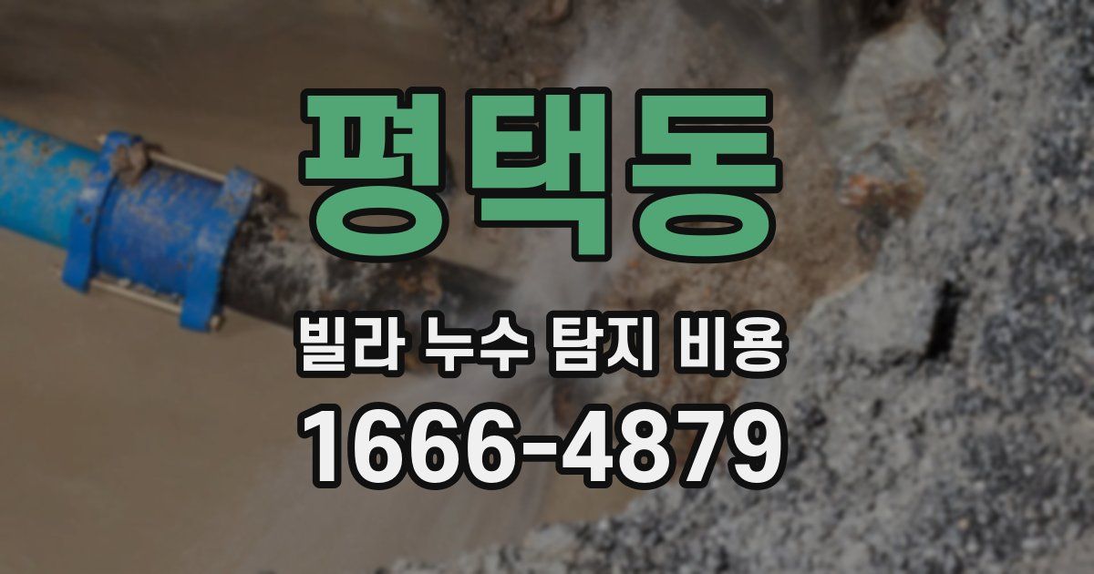평택동 빌라 누수 탐지 비용