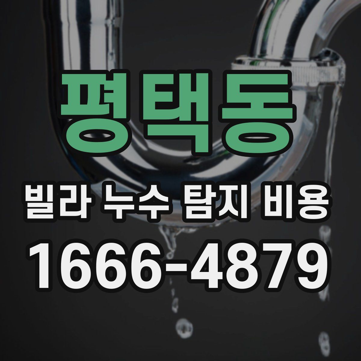 평택동 빌라 누수 탐지 비용