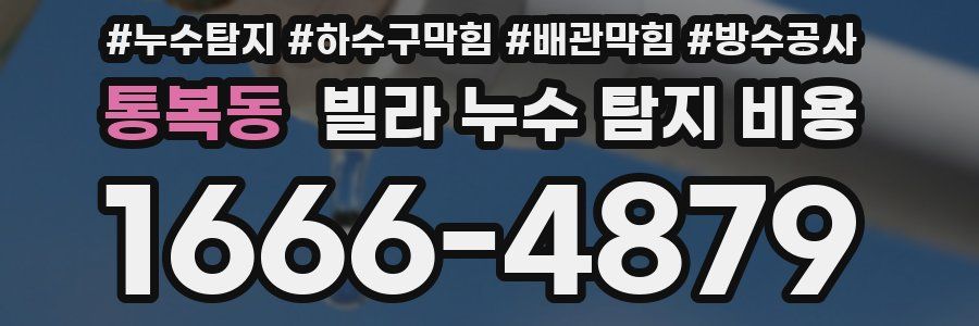 통복동 빌라 누수 탐지 비용
