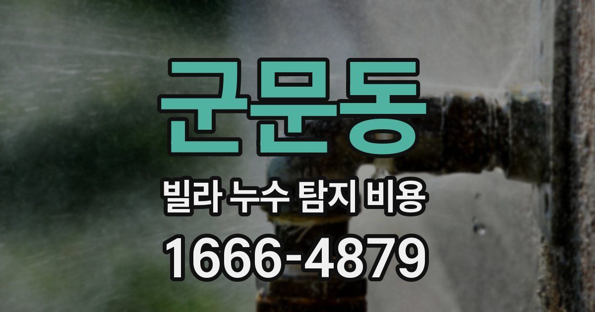 군문동 빌라 누수 탐지 비용