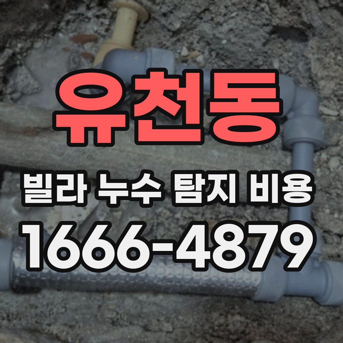 유천동 빌라 누수 탐지 비용