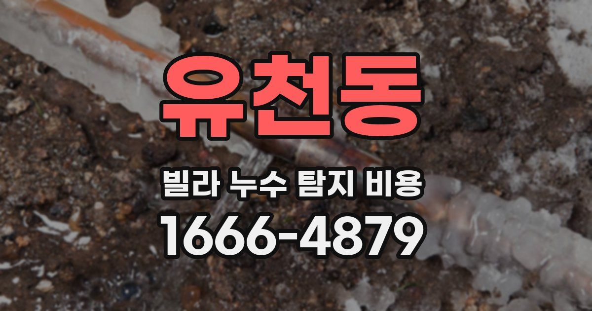 유천동 빌라 누수 탐지 비용