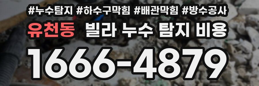 유천동 빌라 누수 탐지 비용