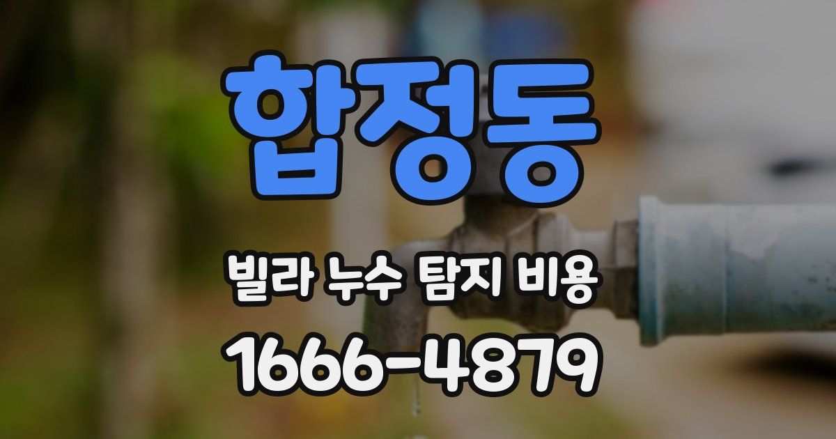 합정동 빌라 누수 탐지 비용