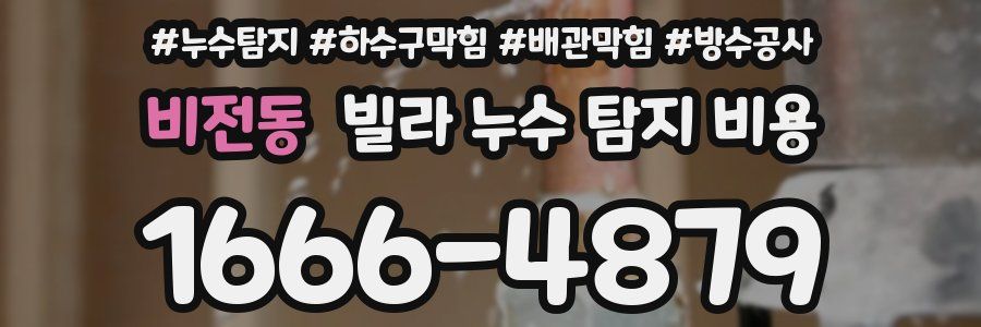 비전동 빌라 누수 탐지 비용