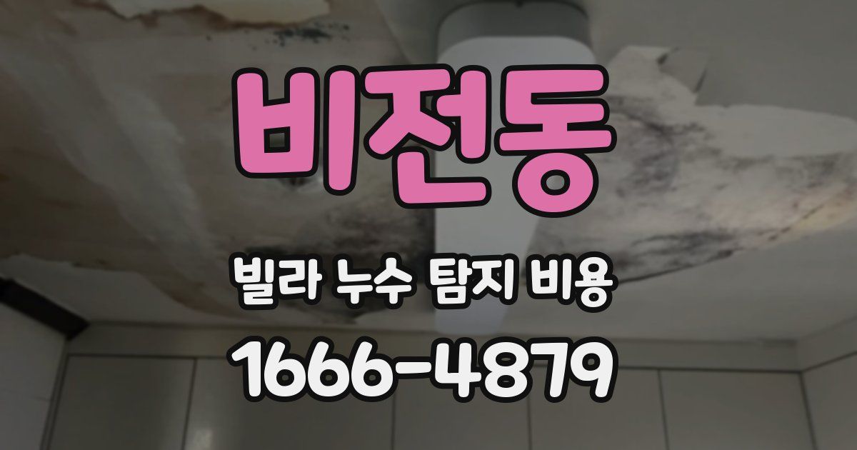비전동 빌라 누수 탐지 비용