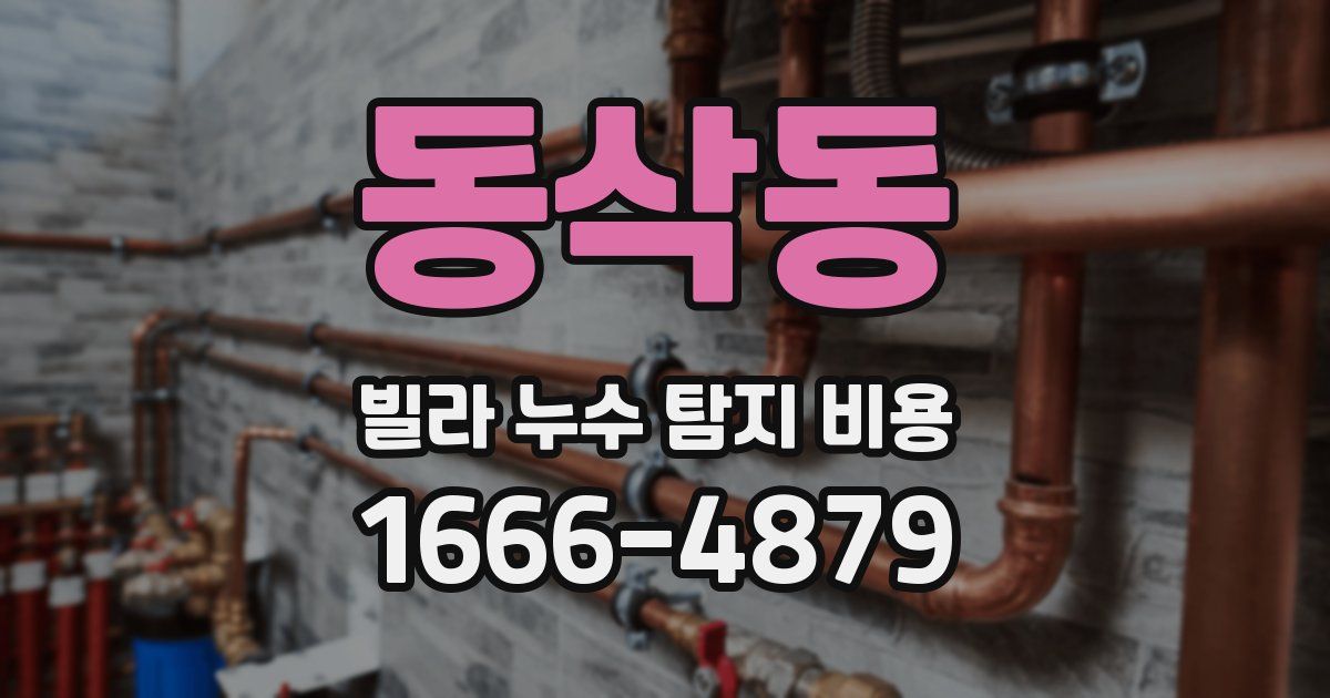 동삭동 빌라 누수 탐지 비용