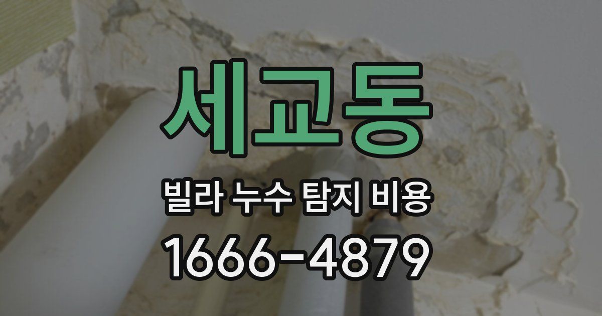 세교동 빌라 누수 탐지 비용