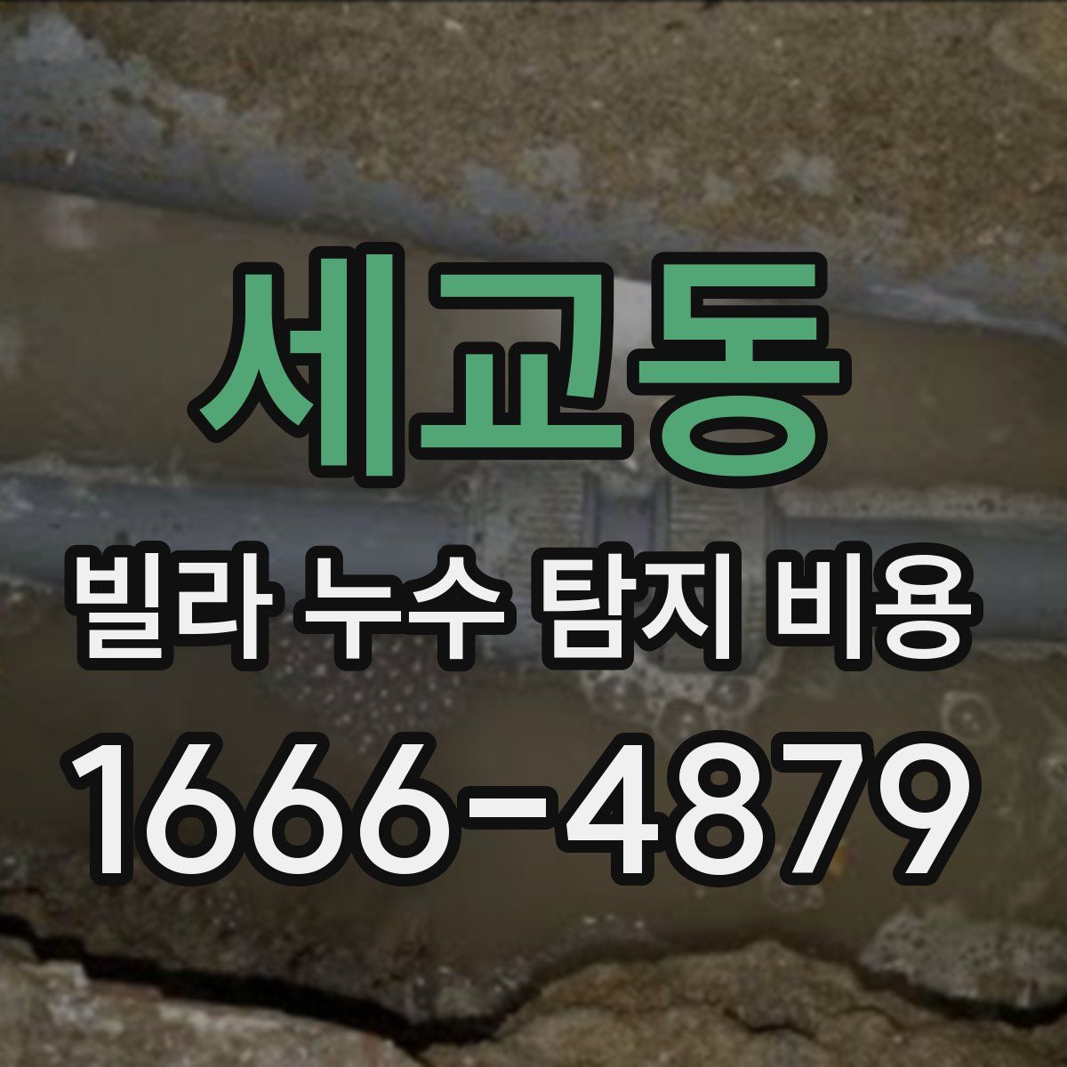 세교동 빌라 누수 탐지 비용