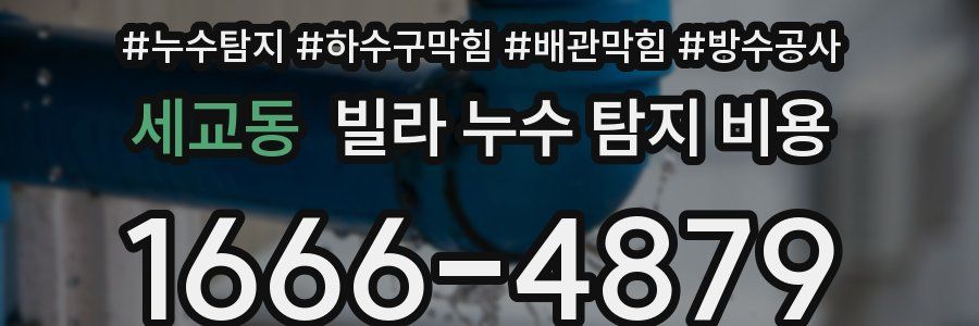 세교동 빌라 누수 탐지 비용