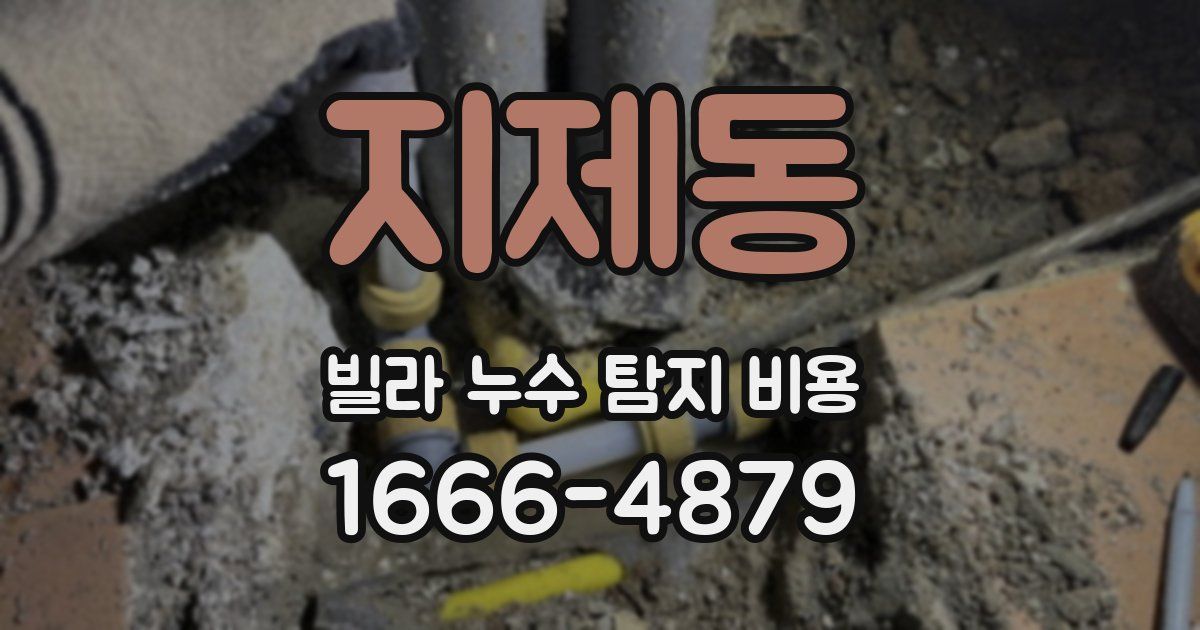 지제동 빌라 누수 탐지 비용