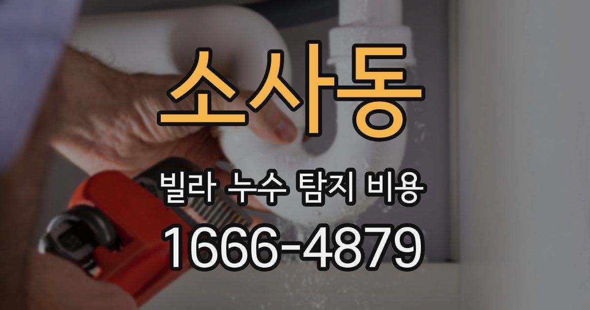 소사동 빌라 누수 탐지 비용