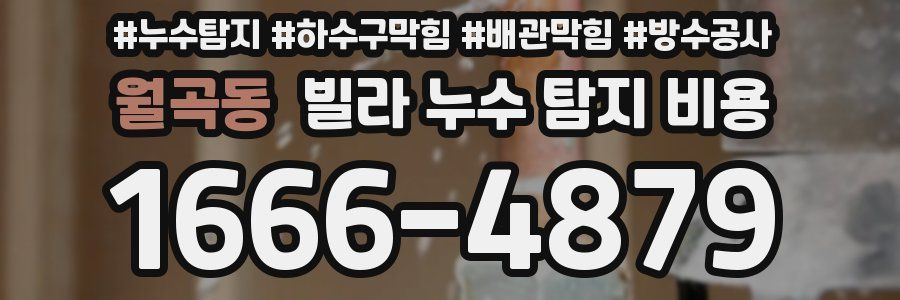 월곡동 빌라 누수 탐지 비용