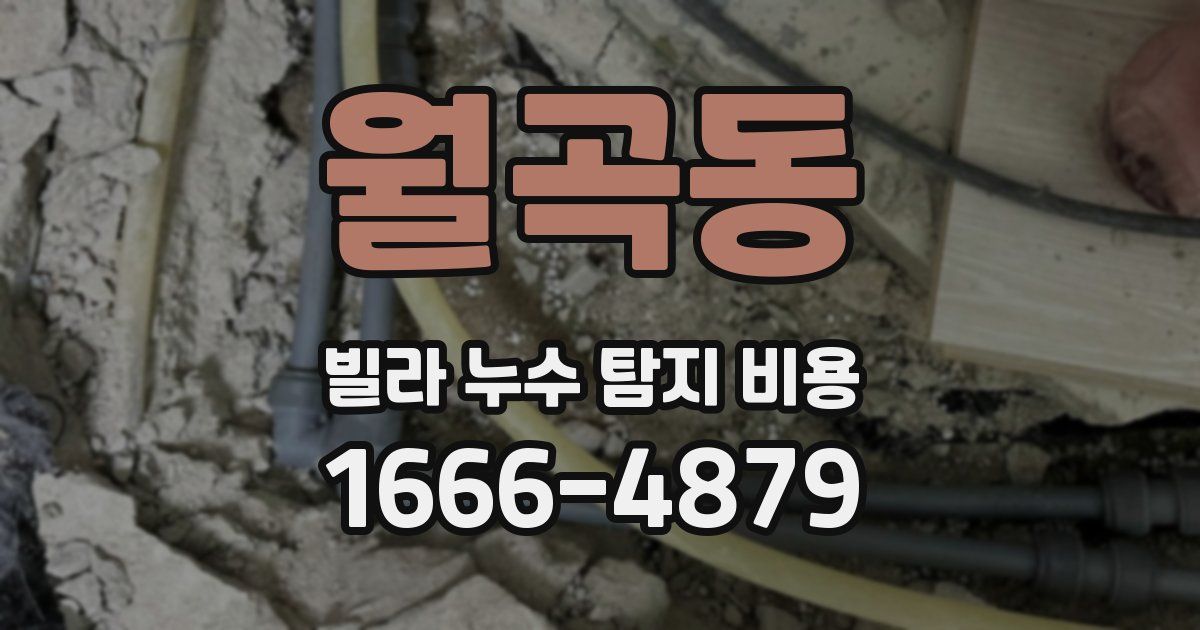 월곡동 빌라 누수 탐지 비용