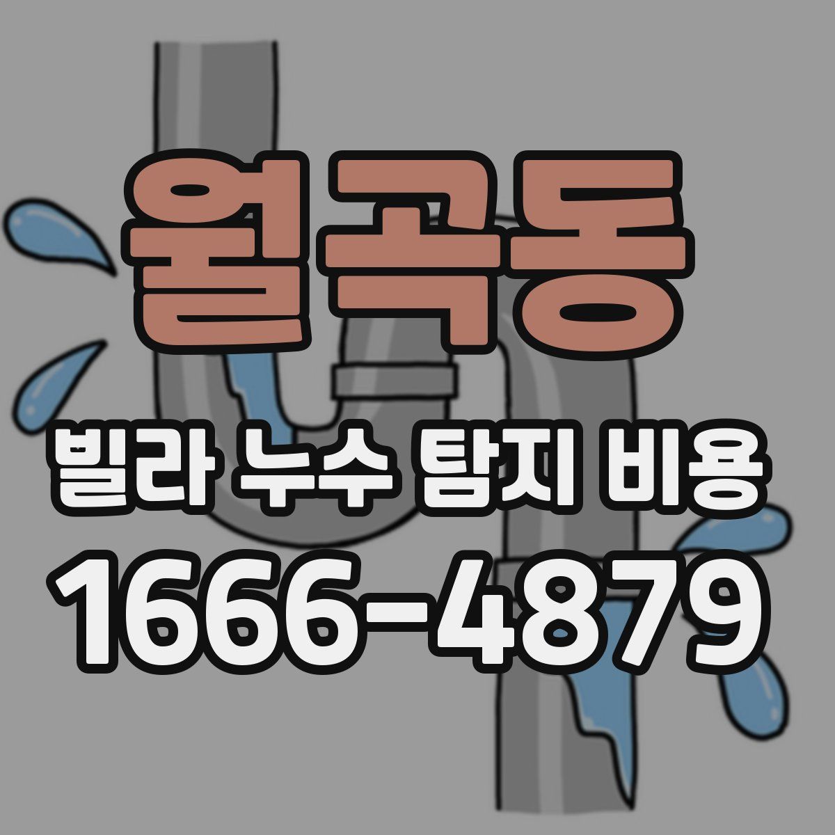 월곡동 빌라 누수 탐지 비용