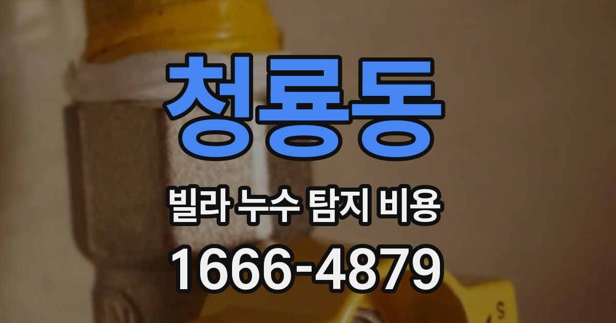 청룡동 빌라 누수 탐지 비용