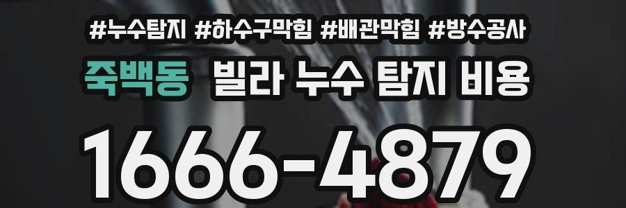 죽백동 빌라 누수 탐지 비용