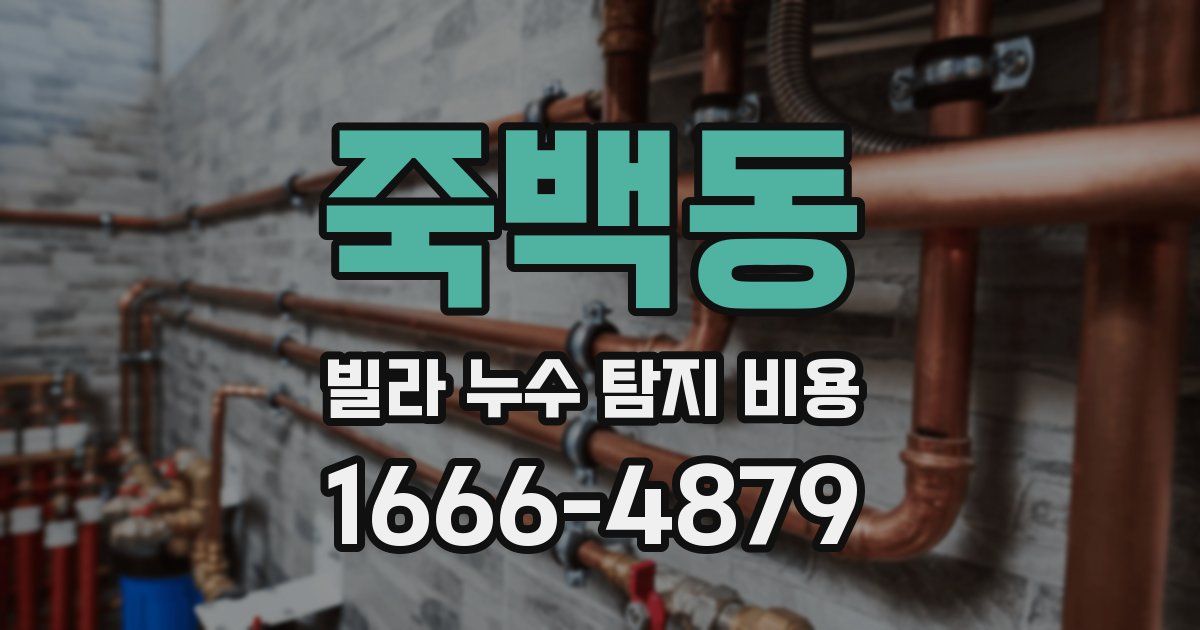 죽백동 빌라 누수 탐지 비용