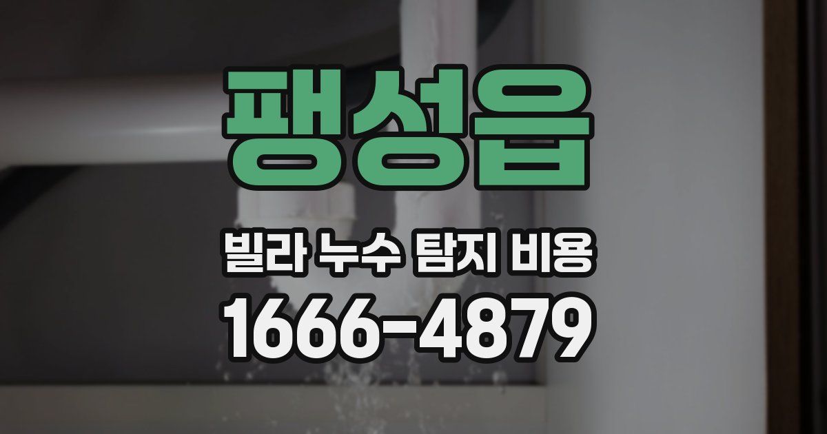 팽성읍 빌라 누수 탐지 비용