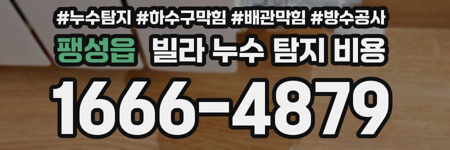 팽성읍 빌라 누수 탐지 비용