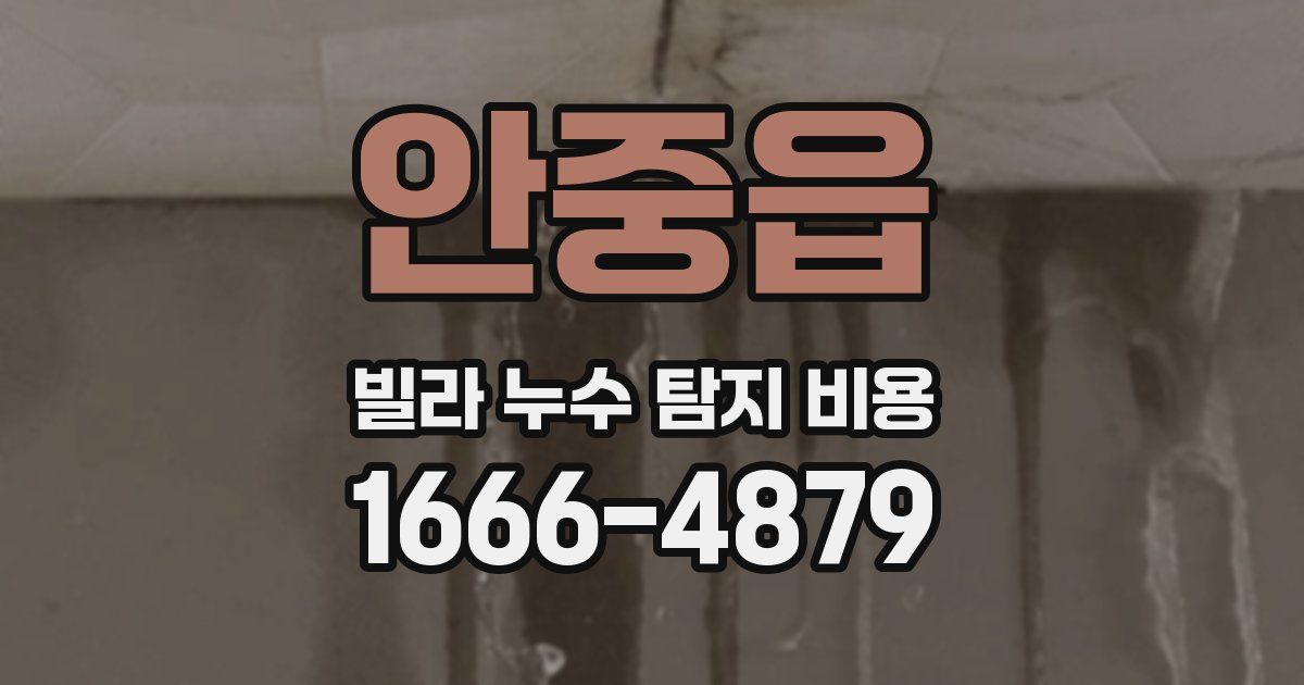 안중읍 빌라 누수 탐지 비용