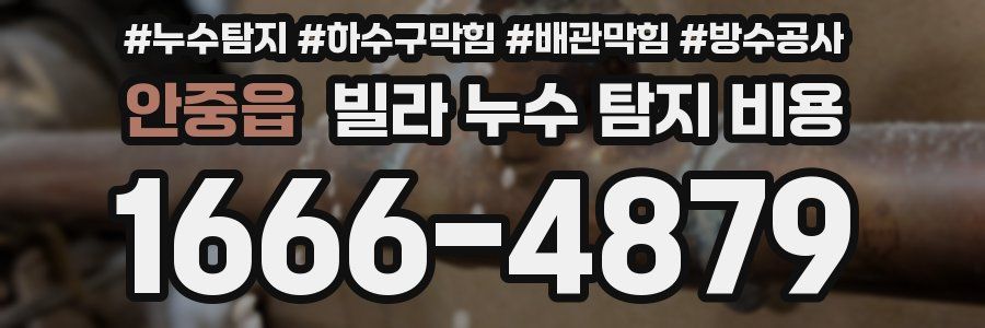 안중읍 빌라 누수 탐지 비용