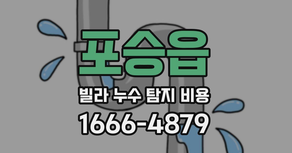 포승읍 빌라 누수 탐지 비용