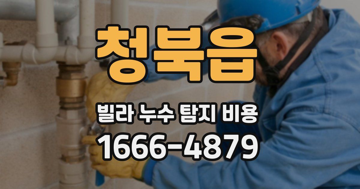 청북읍 빌라 누수 탐지 비용