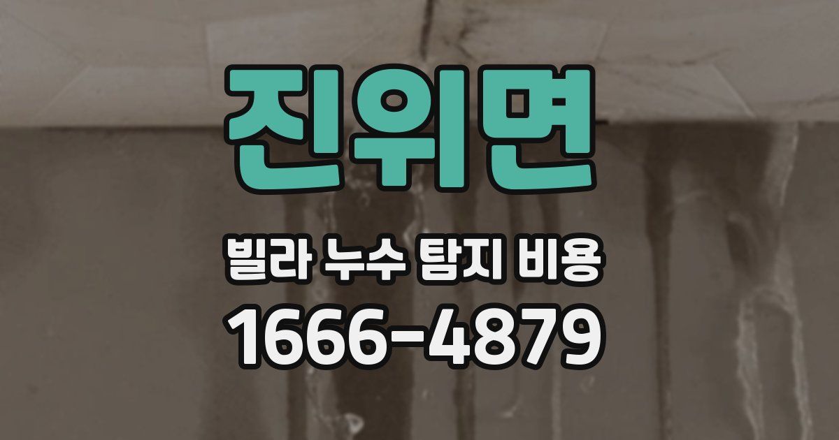 진위면 빌라 누수 탐지 비용