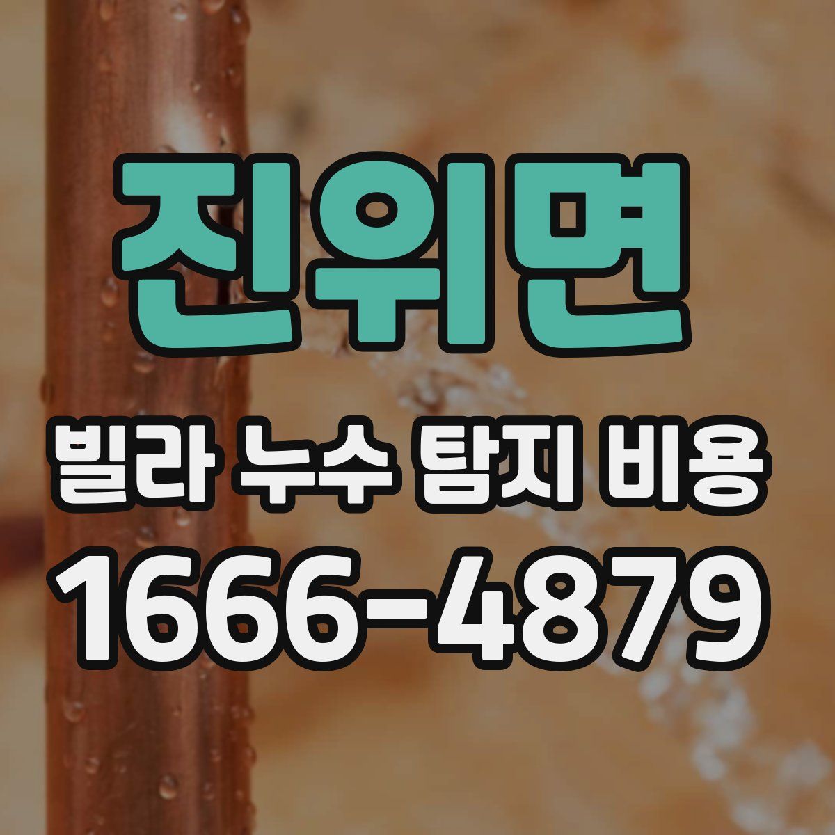 진위면 빌라 누수 탐지 비용