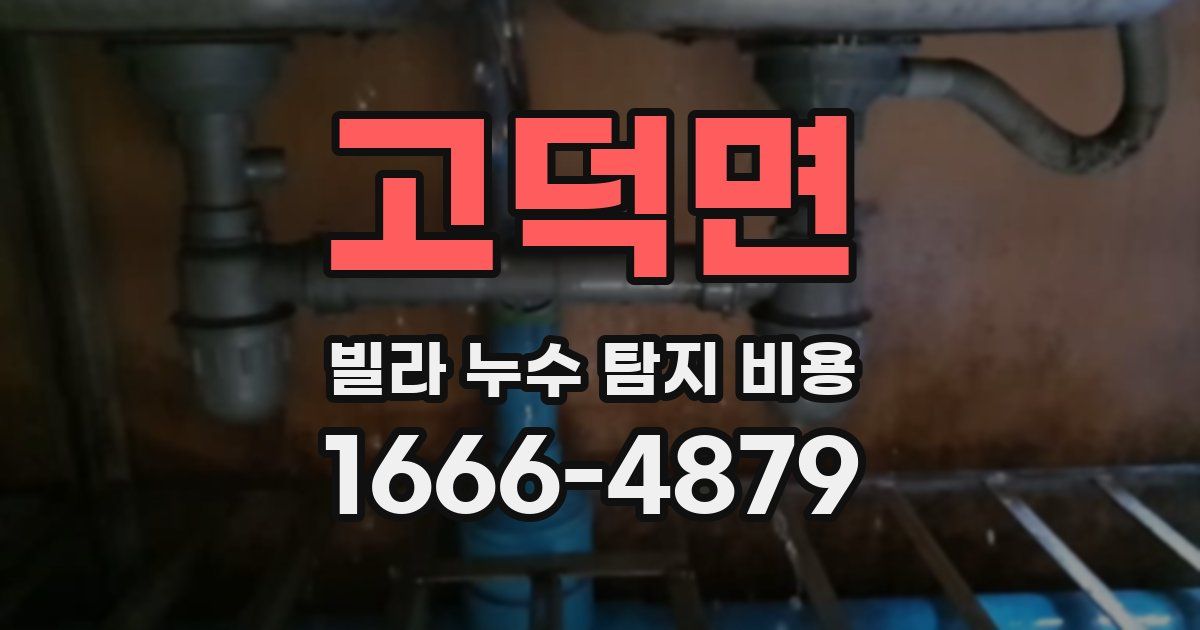 고덕면 빌라 누수 탐지 비용
