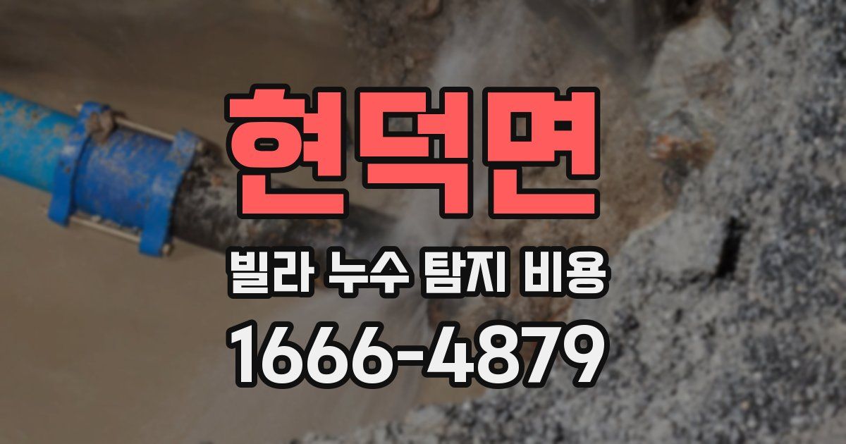현덕면 빌라 누수 탐지 비용