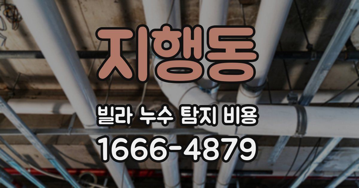 지행동 빌라 누수 탐지 비용