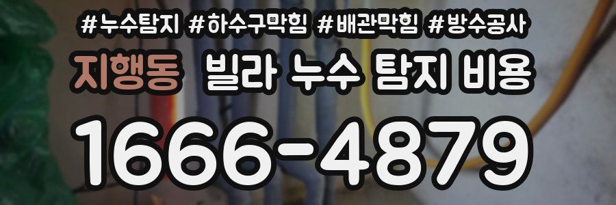 지행동 빌라 누수 탐지 비용