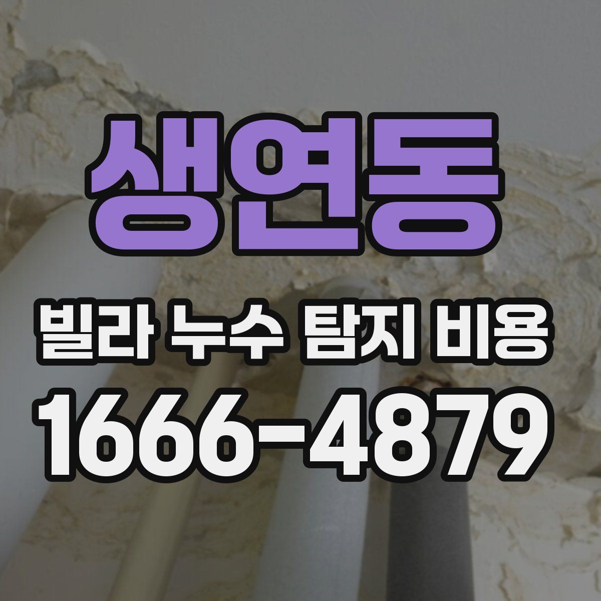 생연동 빌라 누수 탐지 비용