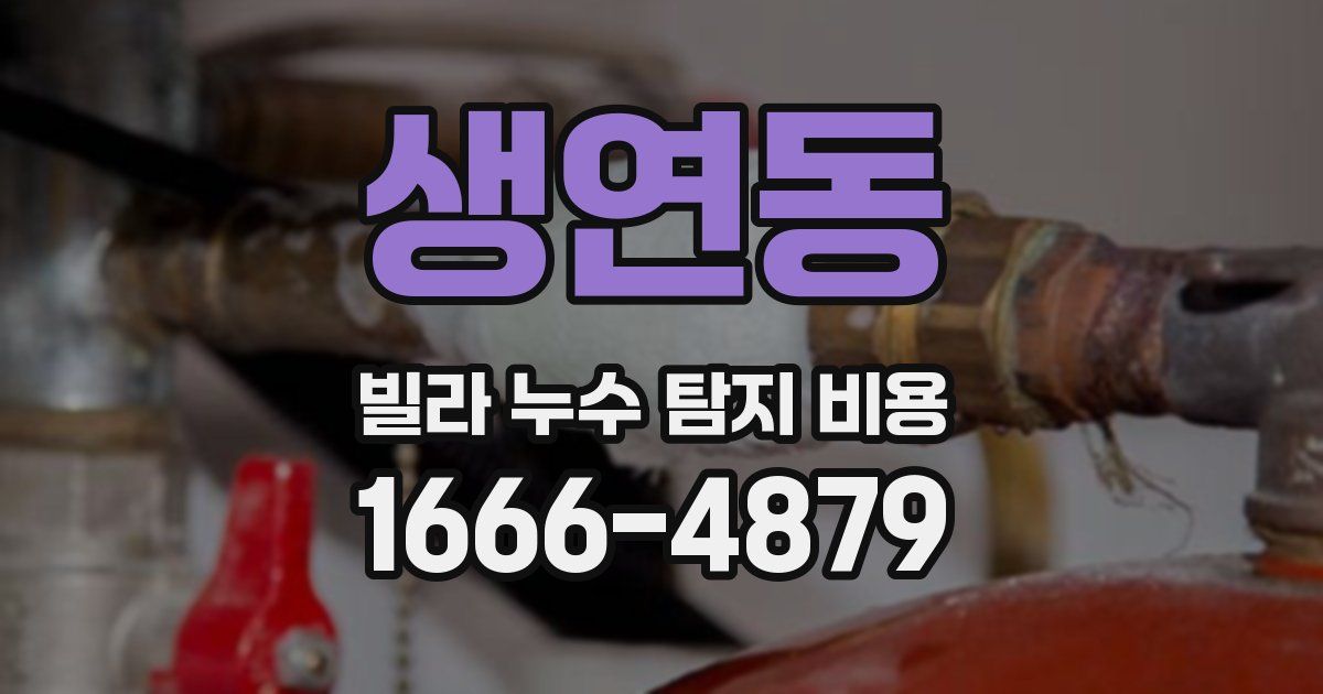 생연동 빌라 누수 탐지 비용