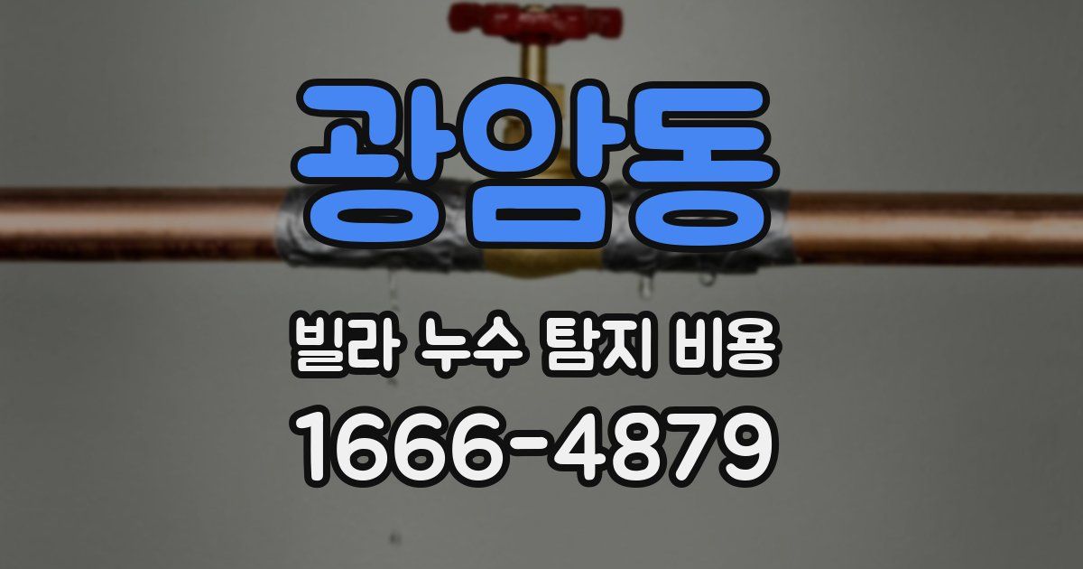 광암동 빌라 누수 탐지 비용