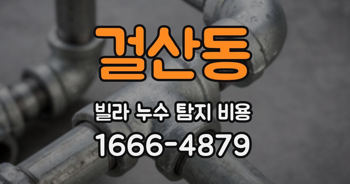 걸산동 빌라 누수 탐지 비용