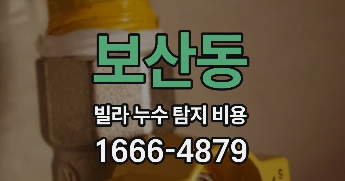 보산동 빌라 누수 탐지 비용