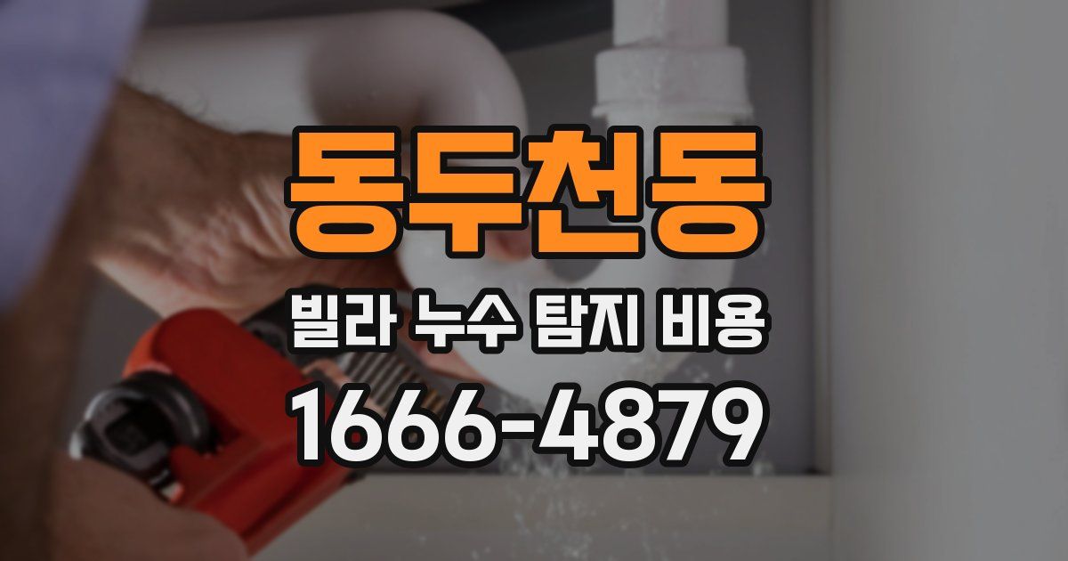 동두천동 빌라 누수 탐지 비용