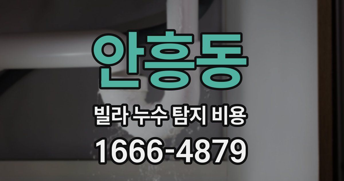 안흥동 빌라 누수 탐지 비용