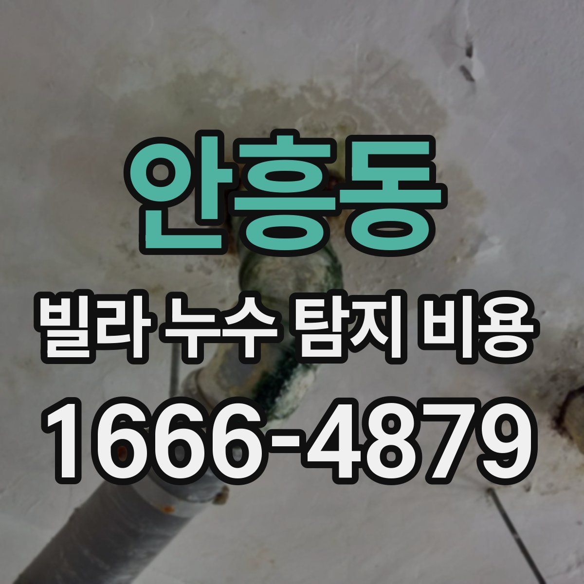 안흥동 빌라 누수 탐지 비용