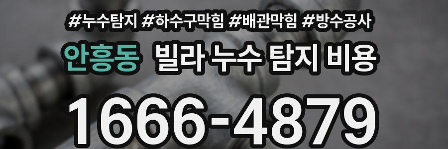 안흥동 빌라 누수 탐지 비용