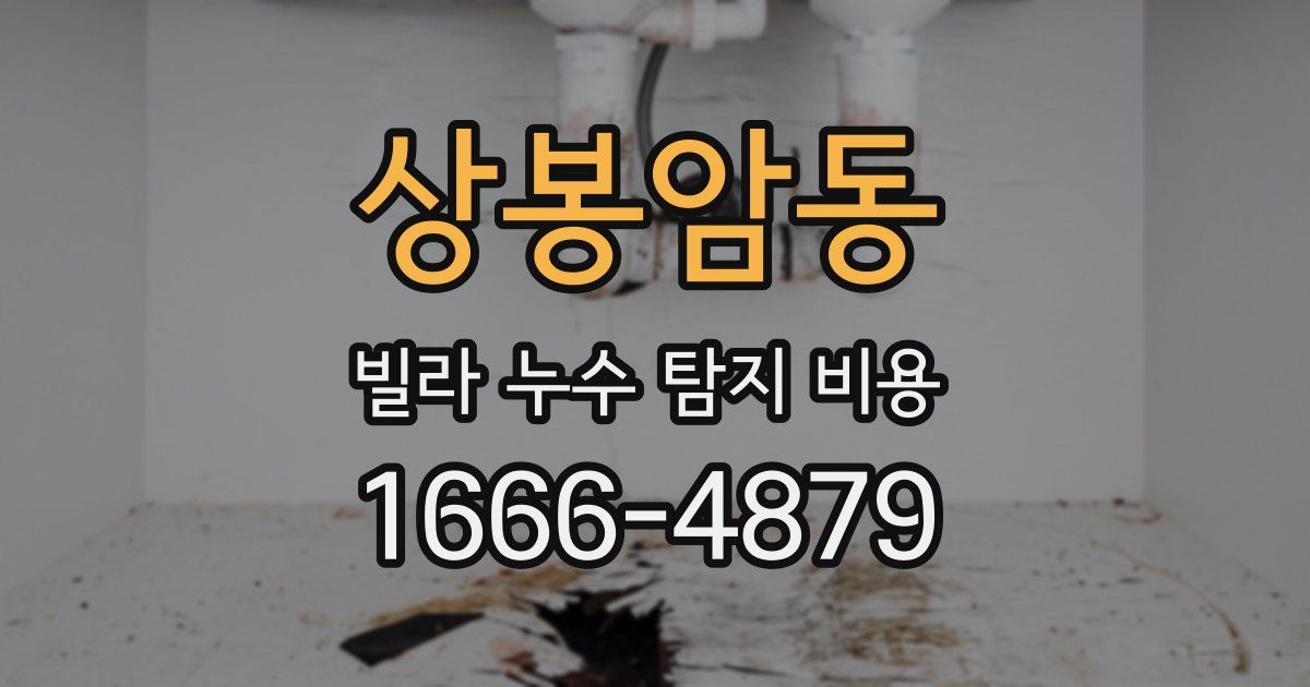 상봉암동 빌라 누수 탐지 비용