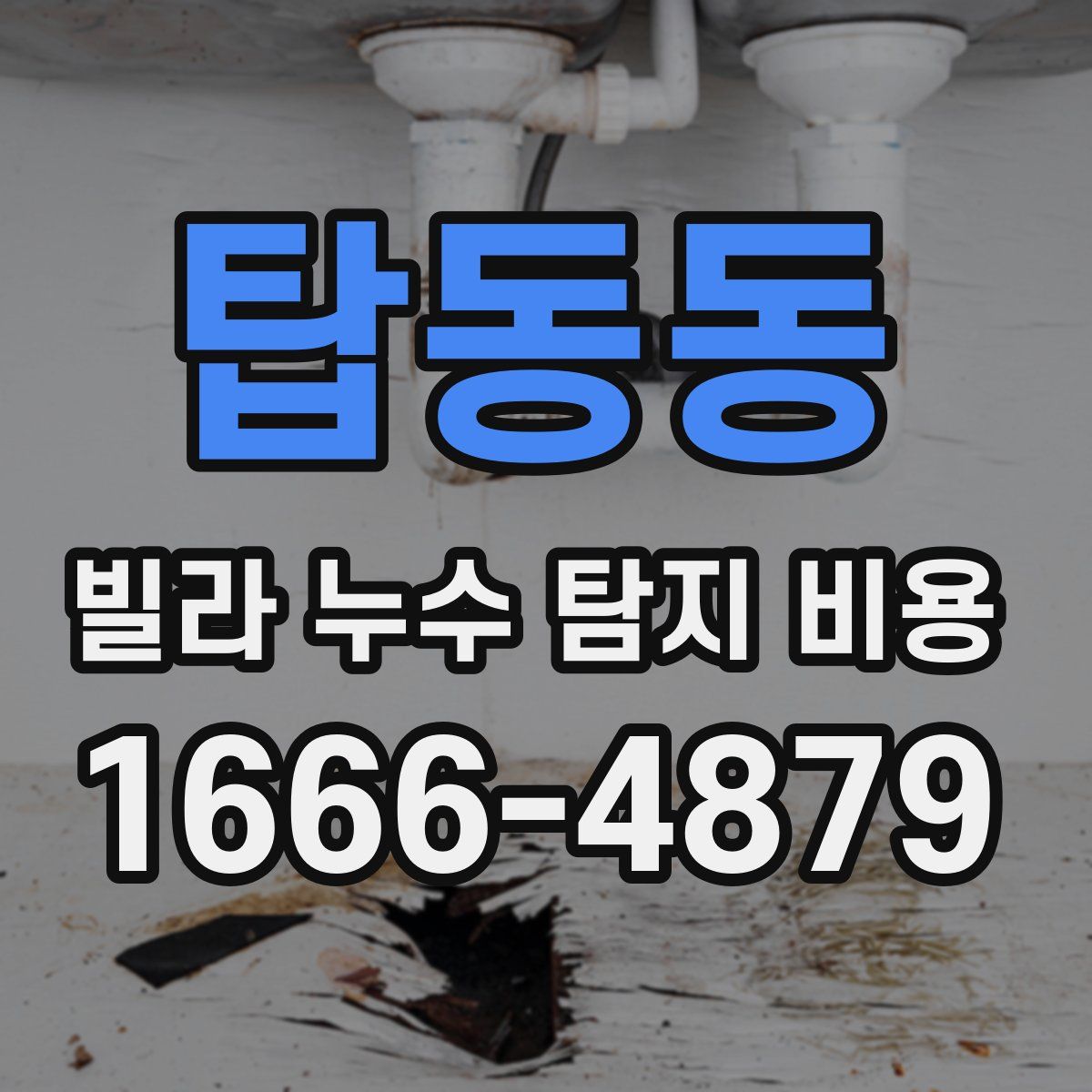 탑동동 빌라 누수 탐지 비용