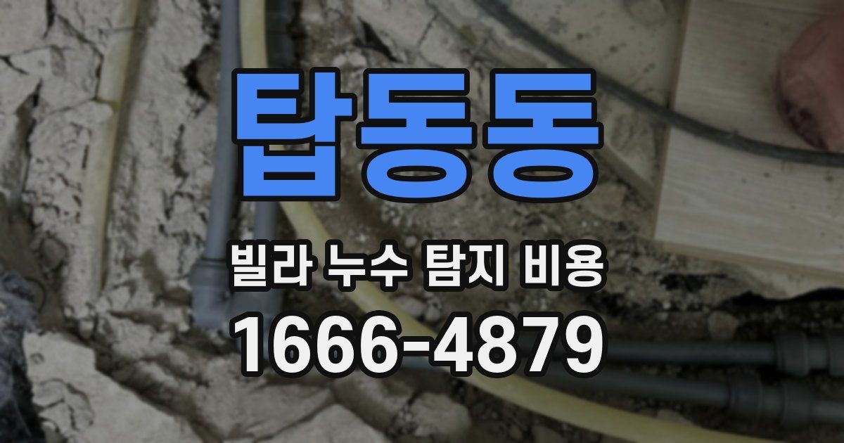 탑동동 빌라 누수 탐지 비용