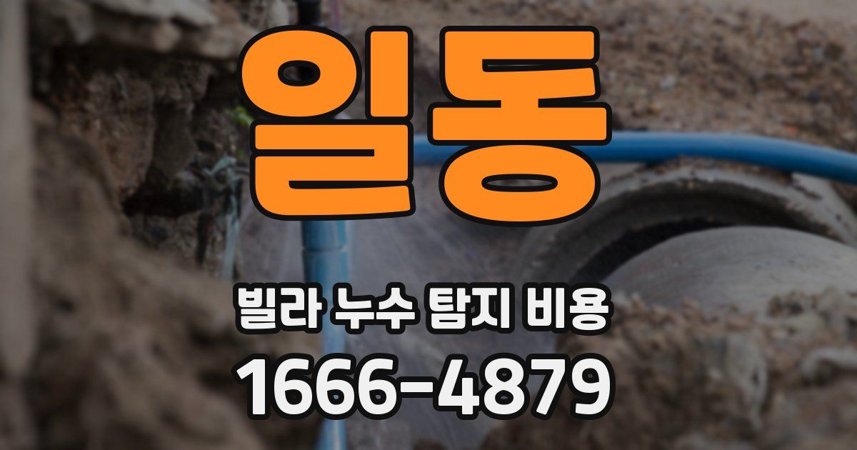 일동 빌라 누수 탐지 비용
